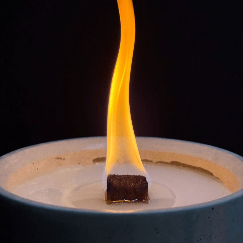 Dauerfeuer CLARUS (3er Set)